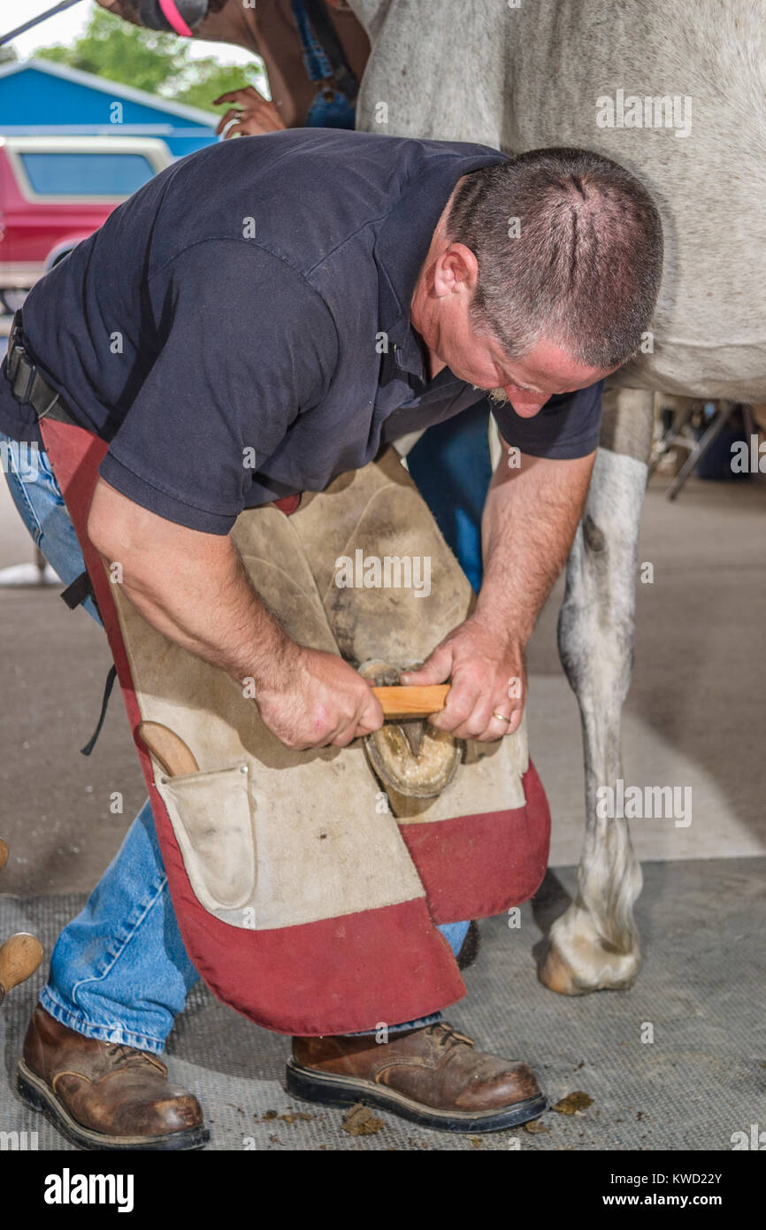 Un maréchal-ferrant FAIRE UN AJUSTEMENT SUR MESURE HORSESHOE, Delaware, Etats-Unis - mai 2008. Un maréchal-ferrant est un spécialiste en soins des sabots du cheval, y compris l'équilibrage et de fraisage Banque D'Images