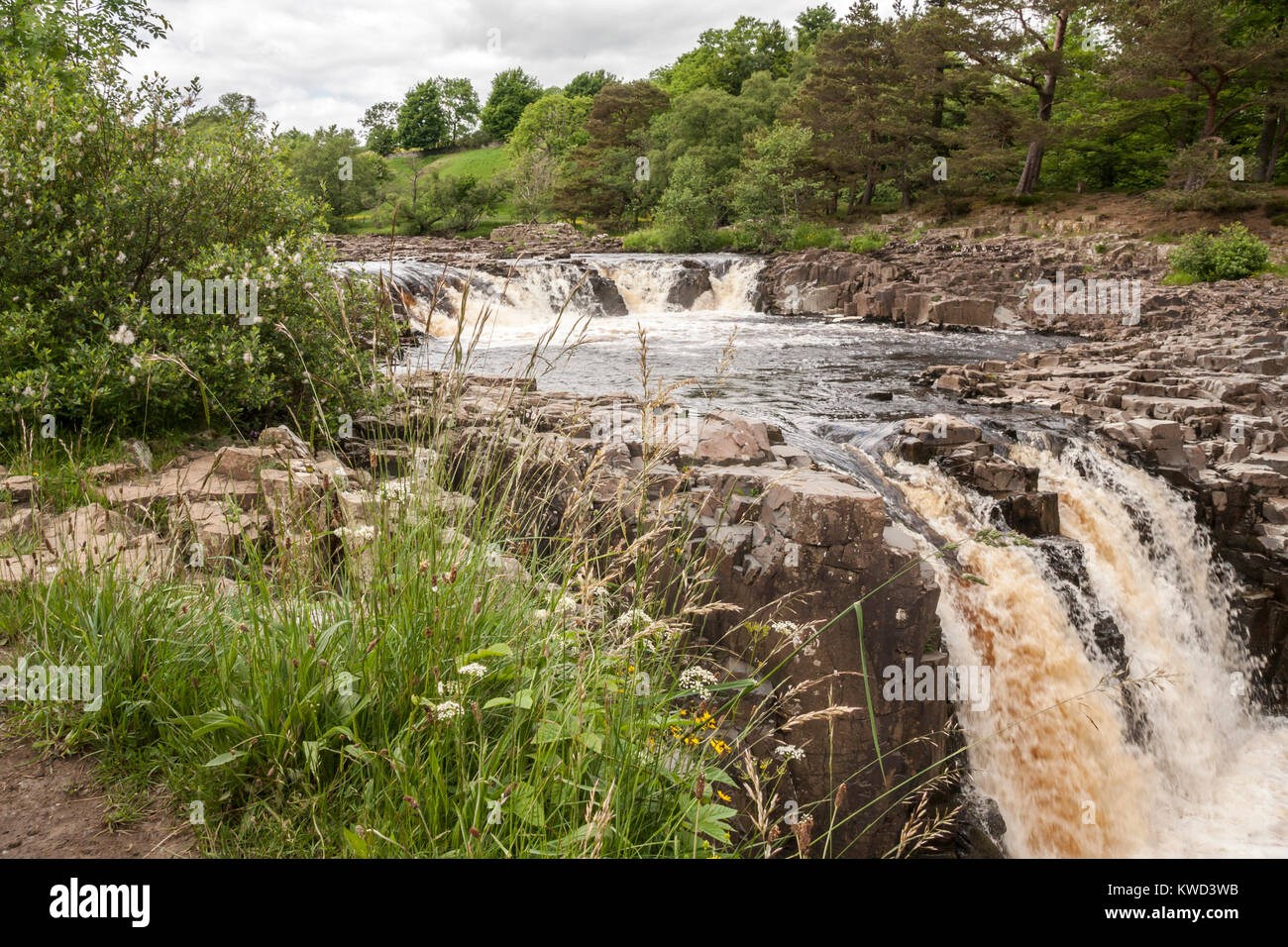 Chutes d'eau à faible force,Angleterre,UK Banque D'Images