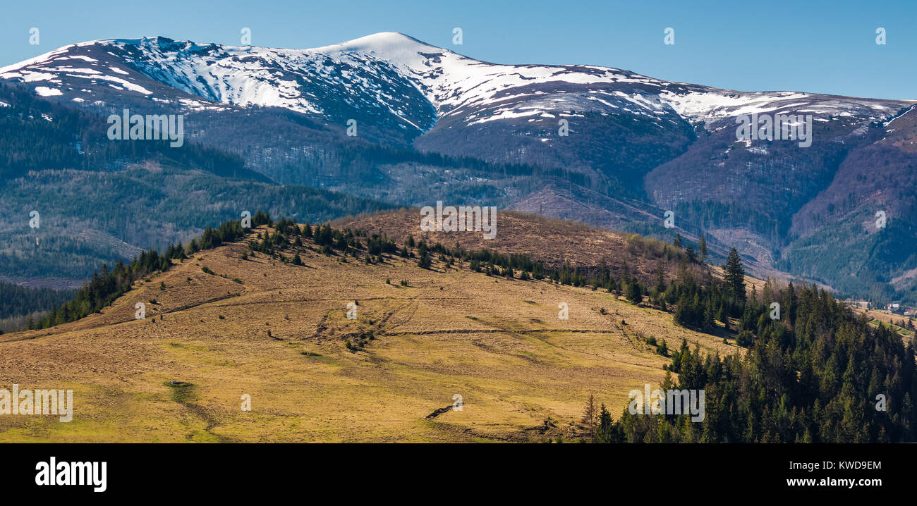 Borzhava crête de montagne aux cimes enneigées. belle nature paysage des Carpates au printemps Banque D'Images