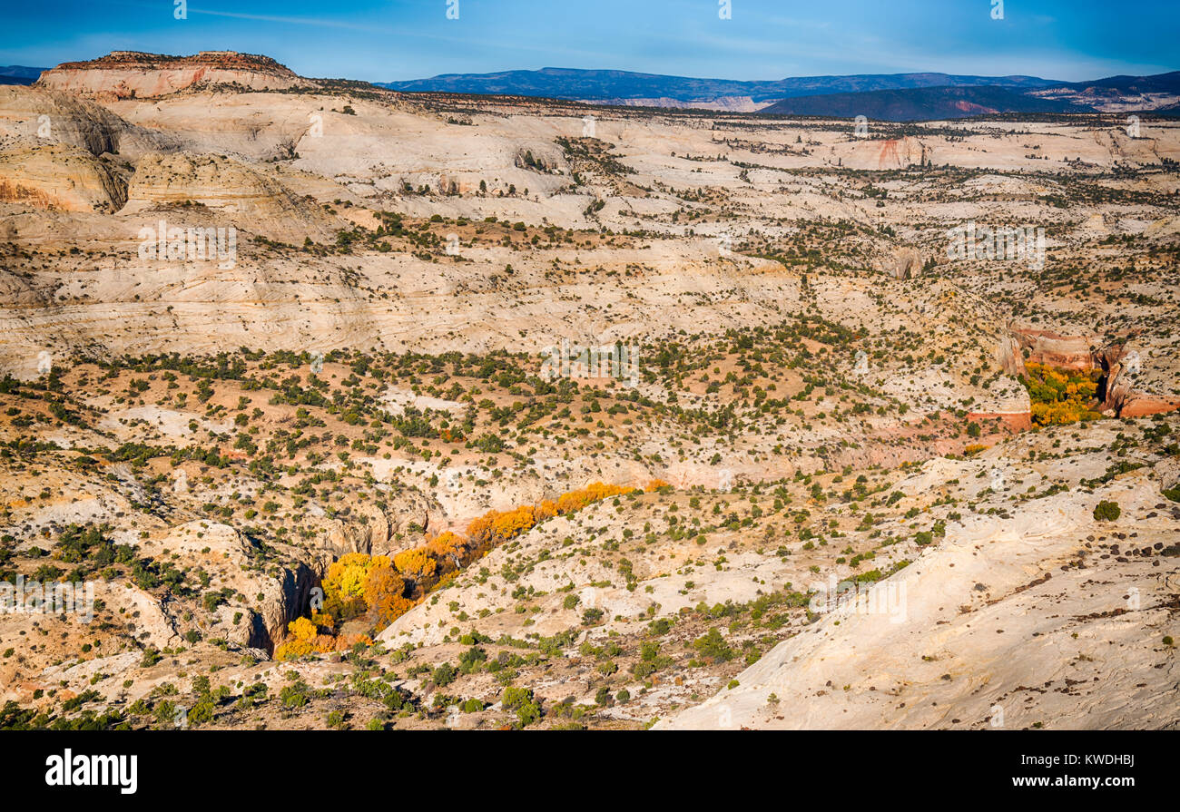 L'étonnante et unique paysage de Grand Staircase-Escalante National Monument (Utah) Banque D'Images
