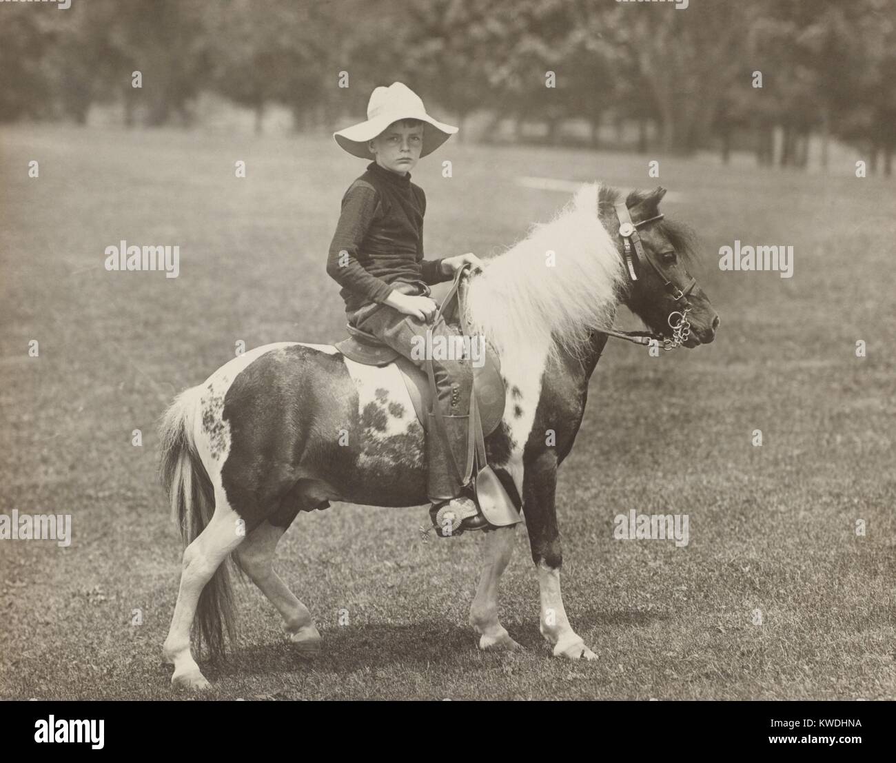 Archie Roosevelt, 9 ans, sur son poney, Algonquin à Sagamore Hill, 1903. Il était le troisième de quatre fils le président Theodore Roosevelt (BSLOC 2017 6 84) Banque D'Images