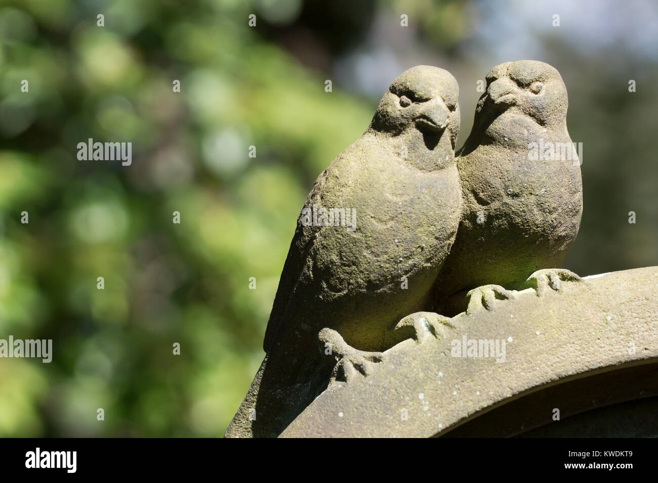Oiseau Sur La Tombe Banque d