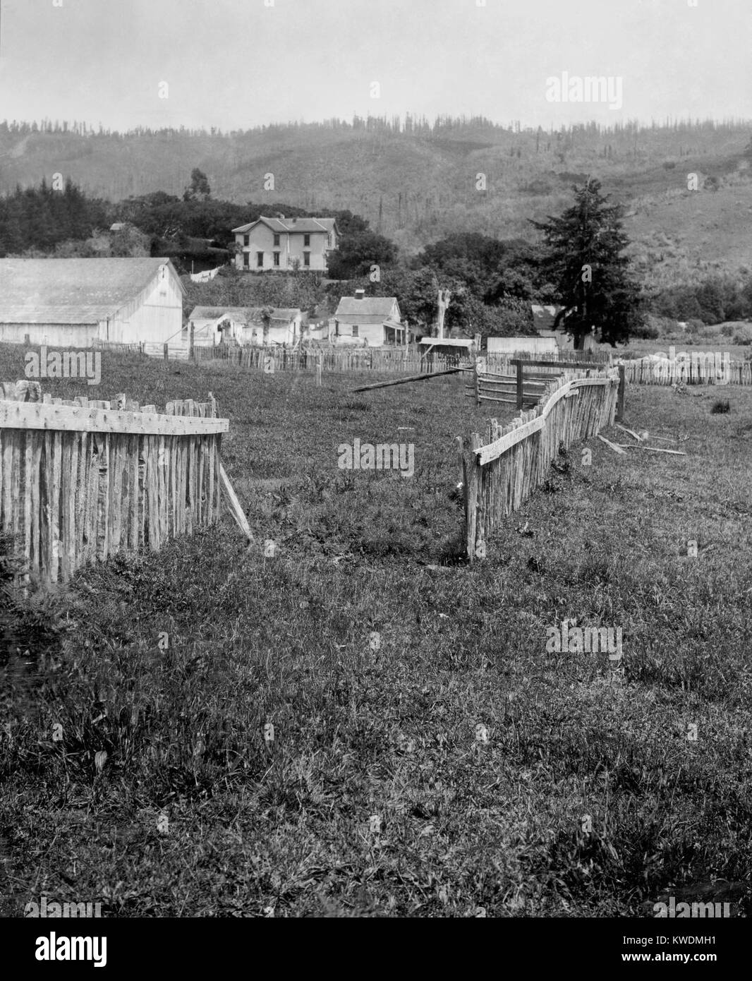 Une clôture a été déplacées à 8.5 pieds près de la faille de San Andreas après le séisme de 1906 avril. Photo a été fait un mille au nord-ouest de Woodville, en Californie en 1906 (BSLOC 2017 17 9) Banque D'Images