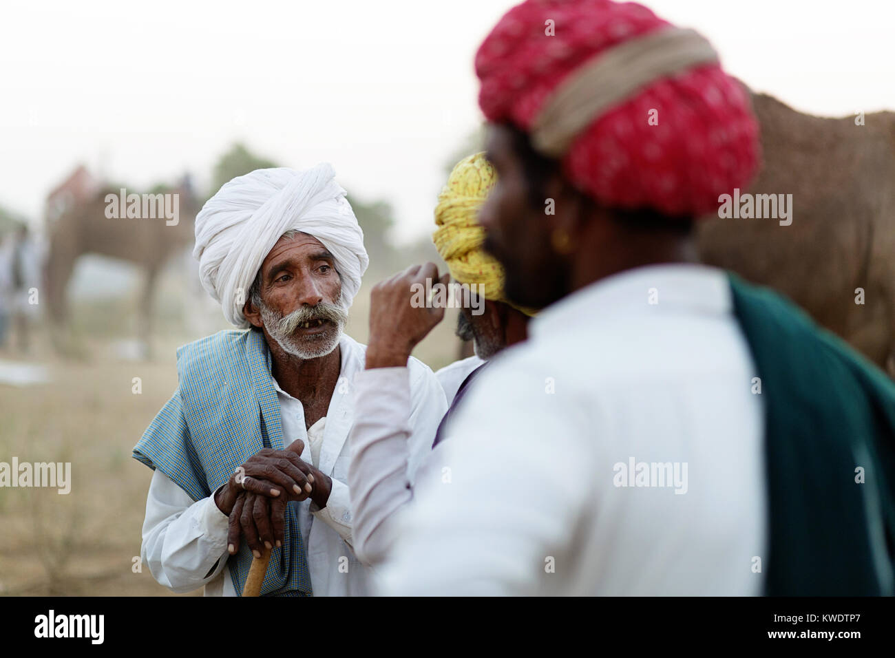 Scène à Pushkar Camel Fair, commerçants hommes fumer des cigares, parlant, la négociation pendant assis autour d'une cheminée à la fin de la journée de négociation, Rajasthan, Inde Banque D'Images