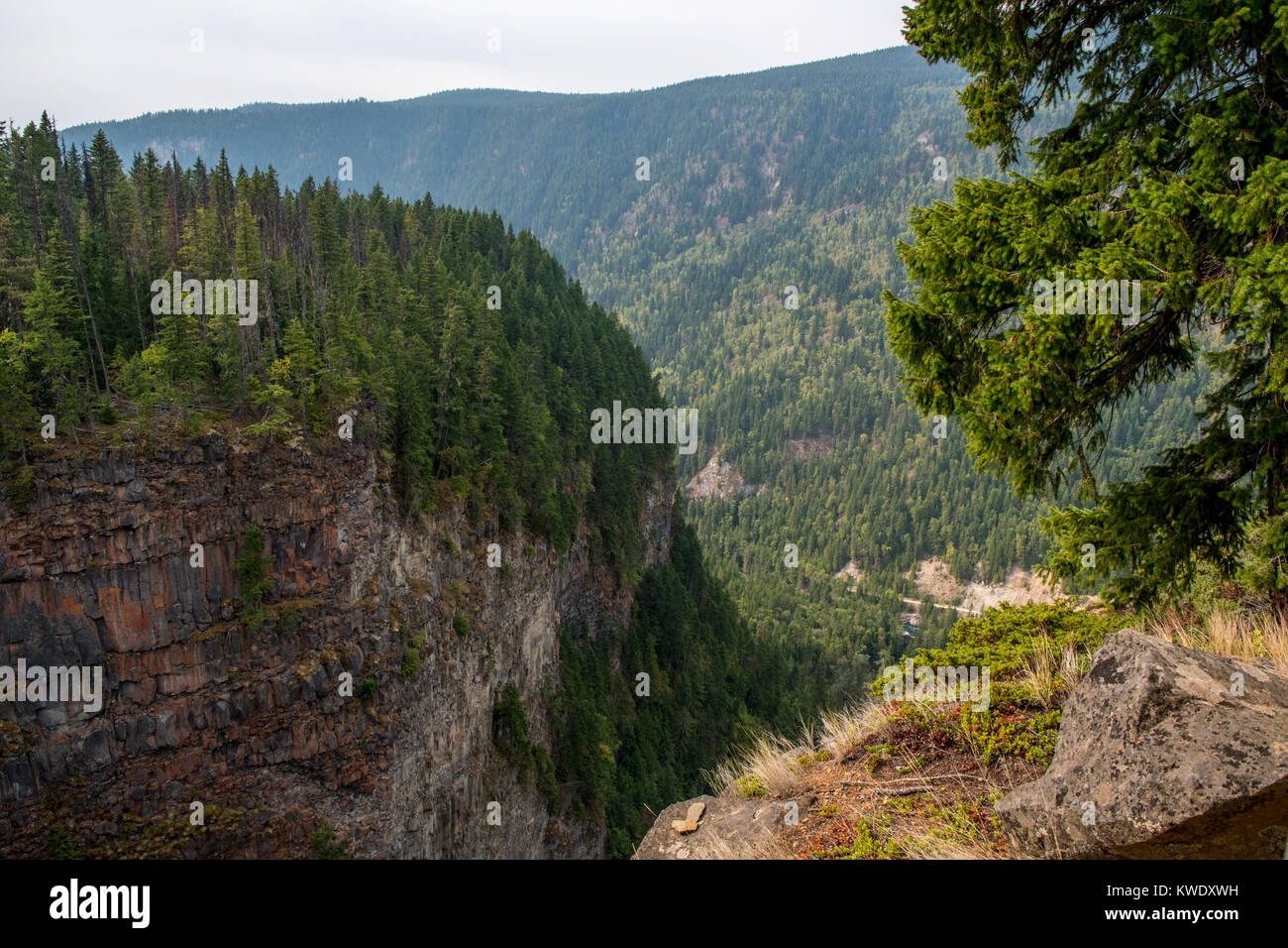 Canyon dans les montagnes de l'Alberta Banque D'Images