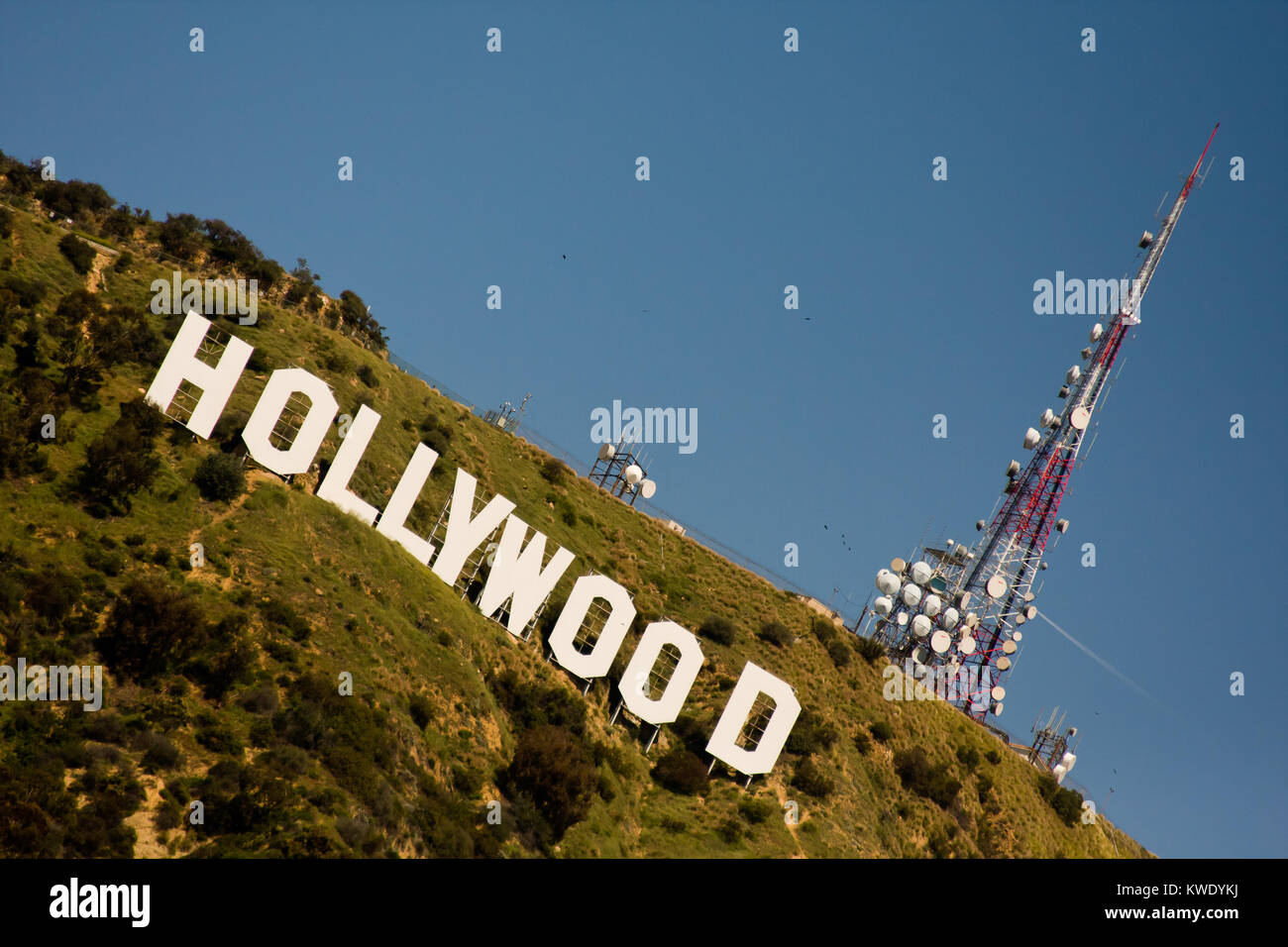 Le panneau Hollywood avec vue sur Los Angeles. Le signe iconique a été créé en 1923. Banque D'Images
