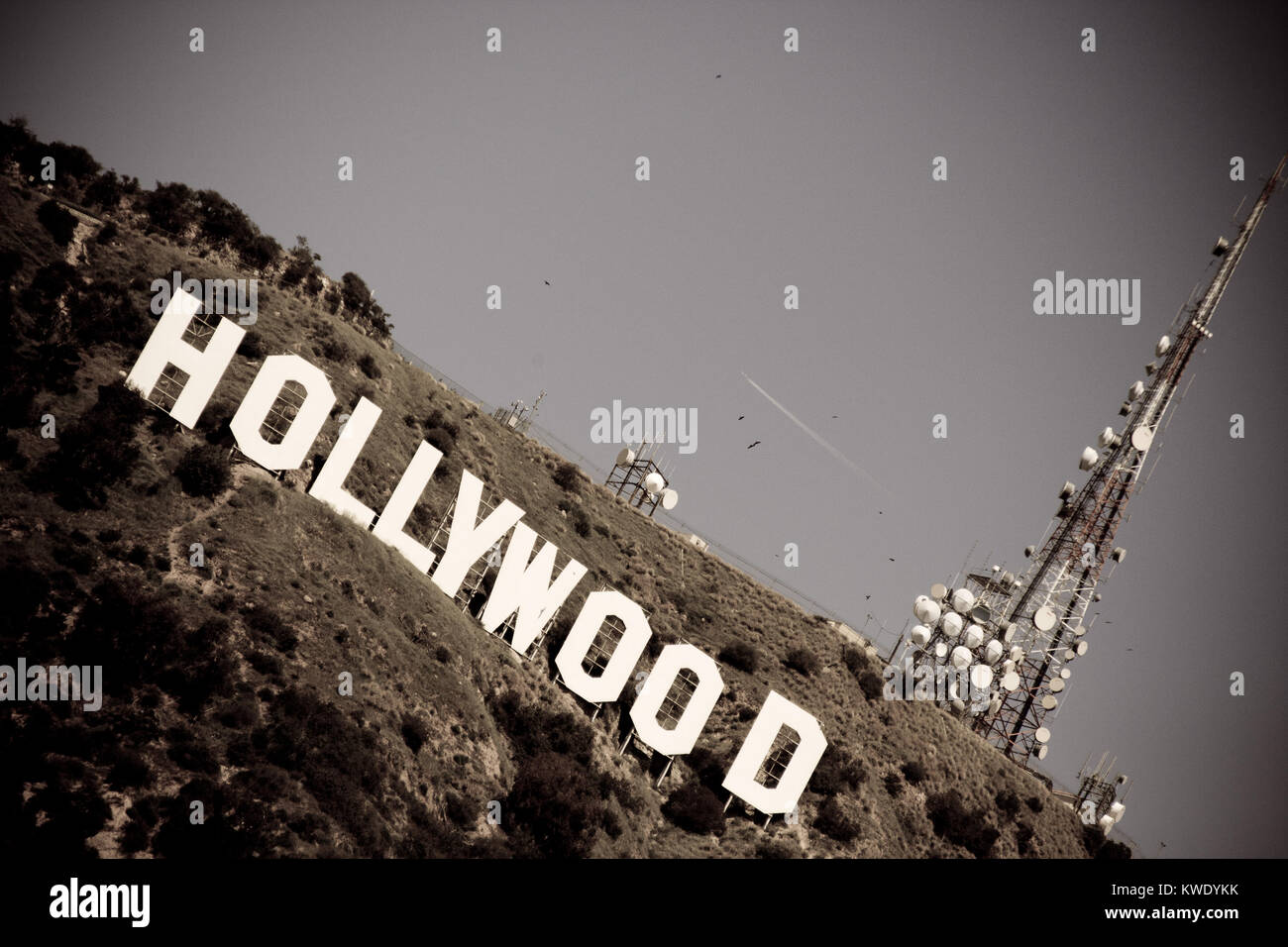 Le panneau Hollywood avec vue sur Los Angeles. Le signe iconique a été créé en 1923. Banque D'Images