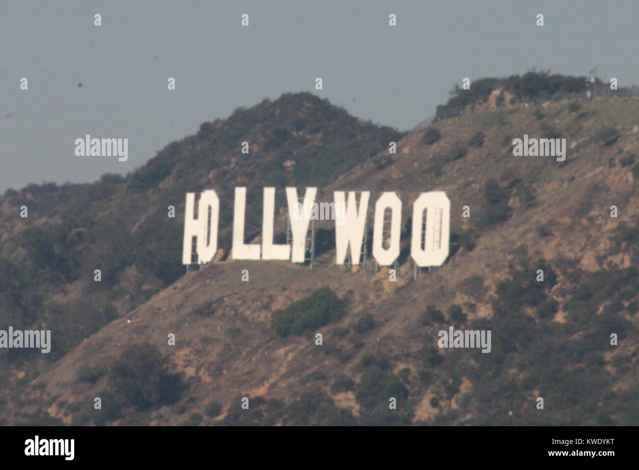 Le panneau Hollywood avec vue sur Los Angeles. Le signe iconique a été créé en 1923. Banque D'Images