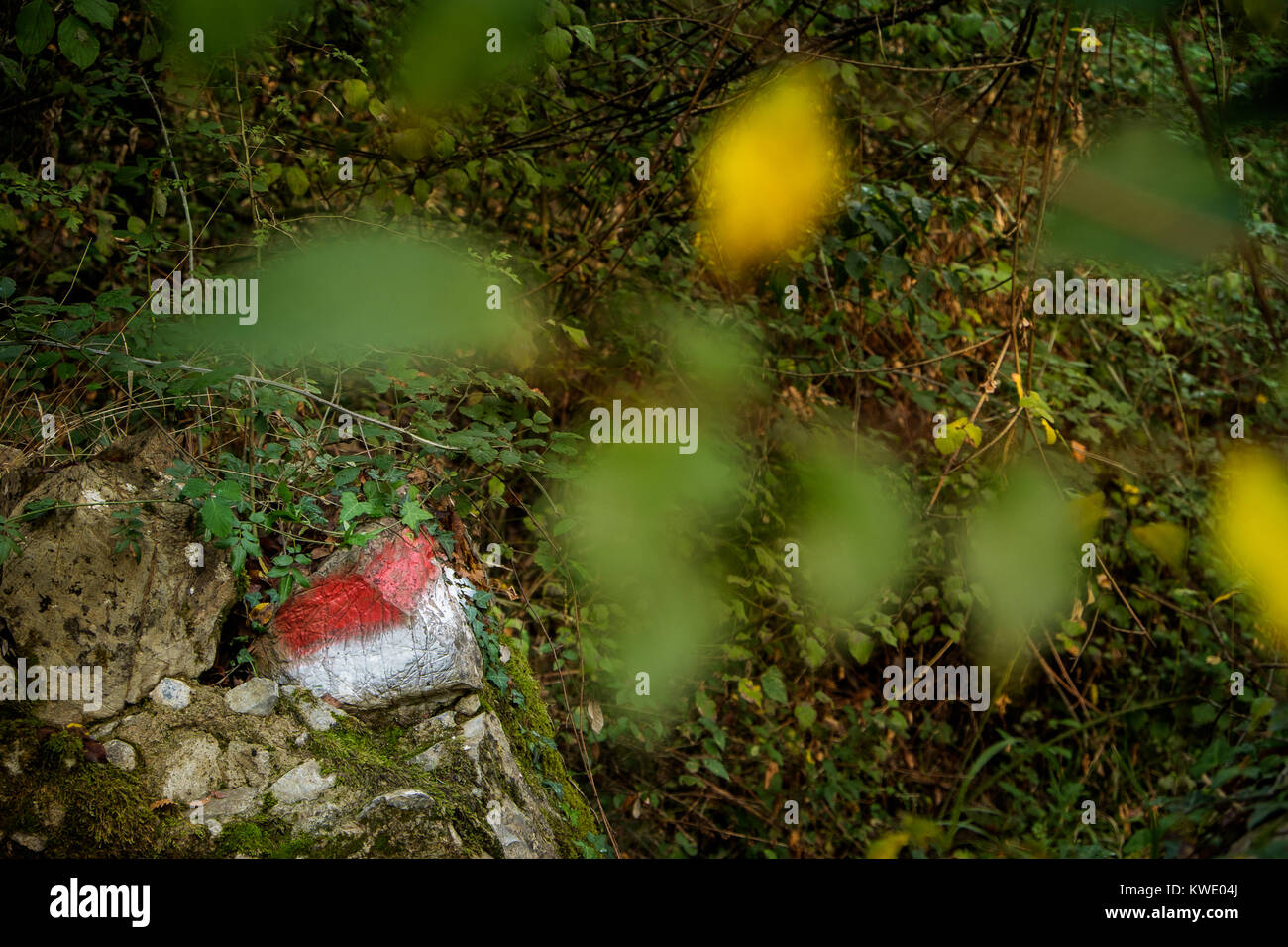 Montecatini Val di Cecina, Pise, Italie - 7 novembre 2017 : il s'agit d'un circuit dans la réserve naturelle de Monterufoli, le chemin tourne selon l'ancien railwa Banque D'Images