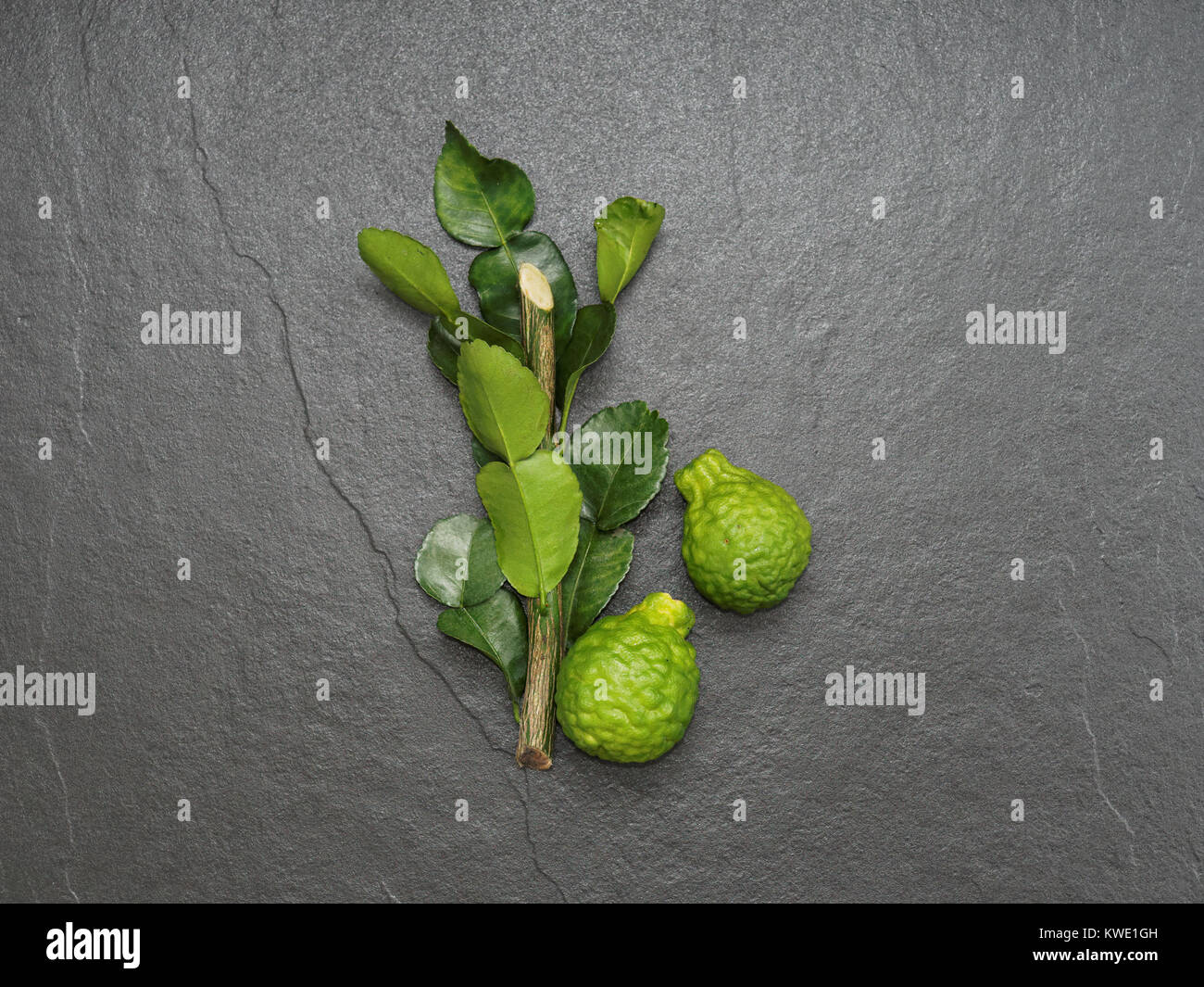 La bergamote, citron vert kaffir lime kaffir et feuille avec branche sur fond sombre utilisé comme ingredint pour plats asiatiques ou des produits de santé Banque D'Images