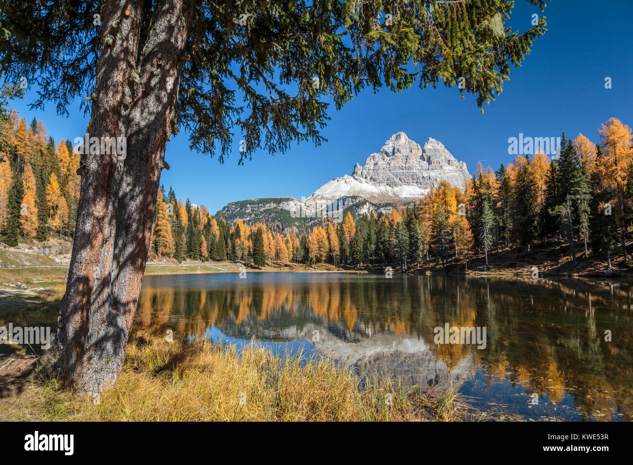 Les reflets dans le lac de Misurina, Antorno, Sant'Agnello, Italie, Europe. Banque D'Images