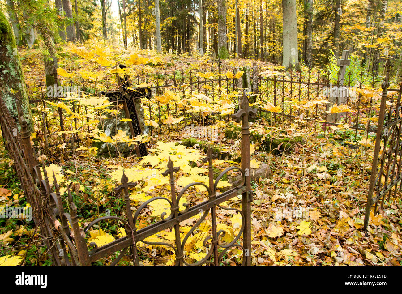 Un tir d'un vieux cimetière cimetière dans les bois avec croix de métal rouillé tordu et clôture autour avec des feuilles jaunes sur les arbres. Banque D'Images