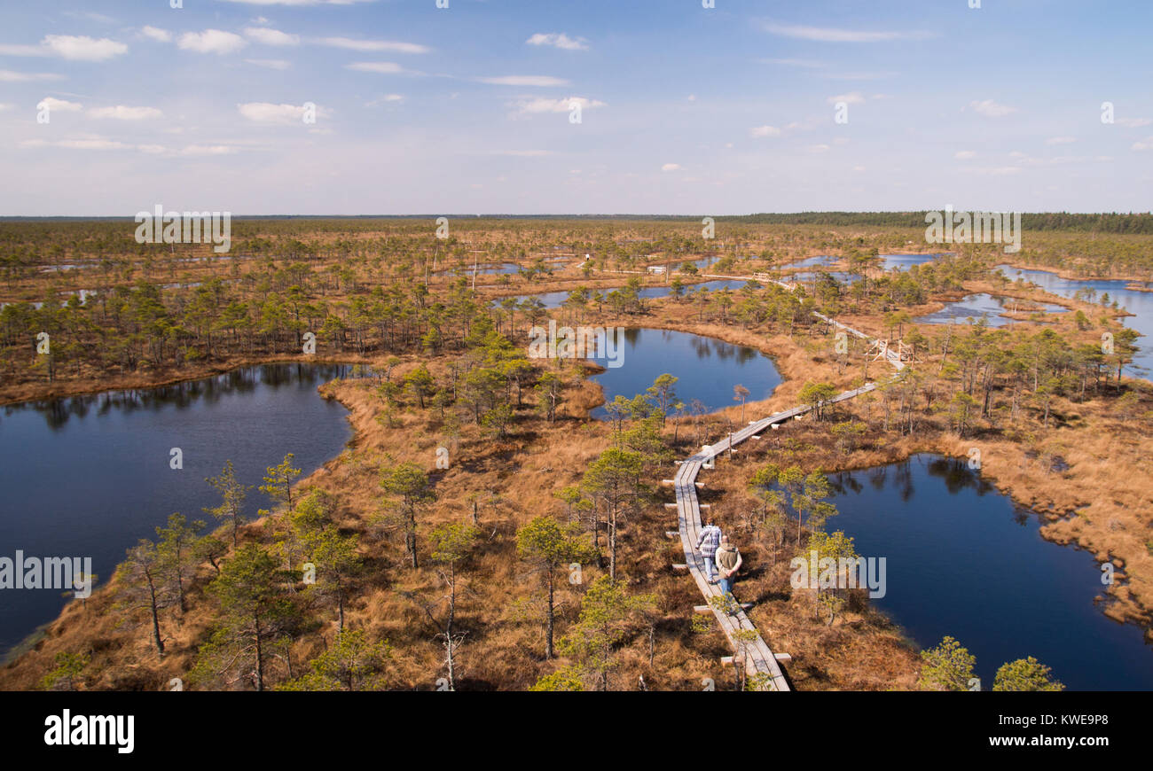 Une vue panoramique de Kemeri swamp sur une journée ensoleillée avec plusieurs étangs et du chemin entre eux et un couple en train de marcher sur elle. Banque D'Images
