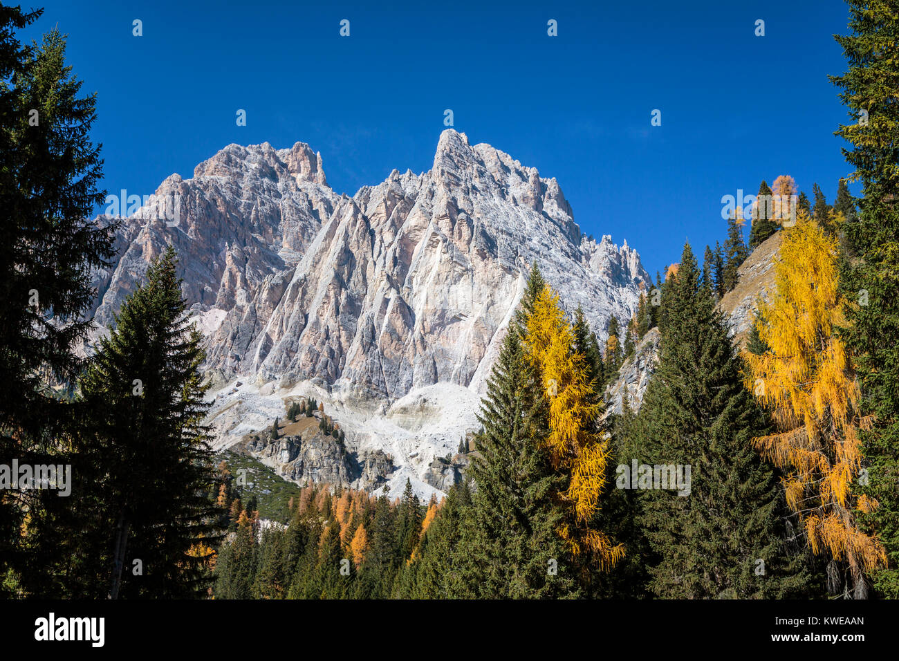 Les cols alpins avec la couleur des feuilles d'automne près de Auronzo di Cadore, Misurina, Padova, Italie, Europe. Banque D'Images