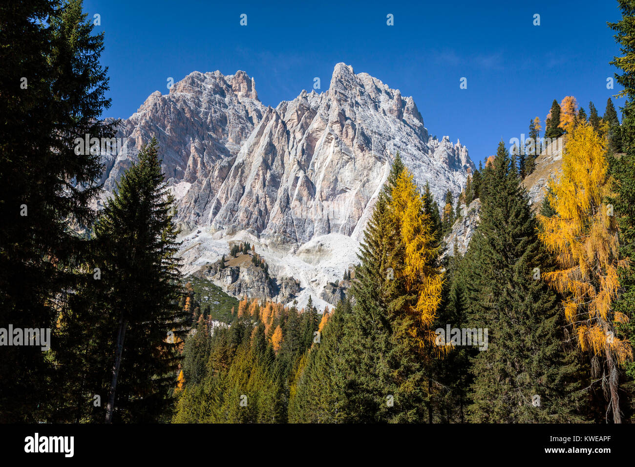 Les cols alpins avec la couleur des feuilles d'automne près de Auronzo di Cadore, Misurina, Padova, Italie, Europe. Banque D'Images