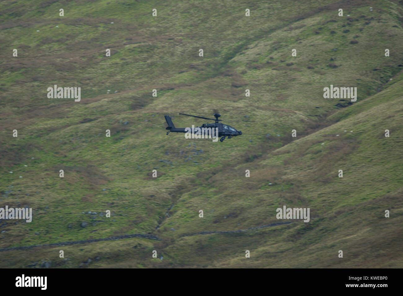 AgustaWestland Apache AH1 / Boeing AH-64D Longbow () Banque D'Images