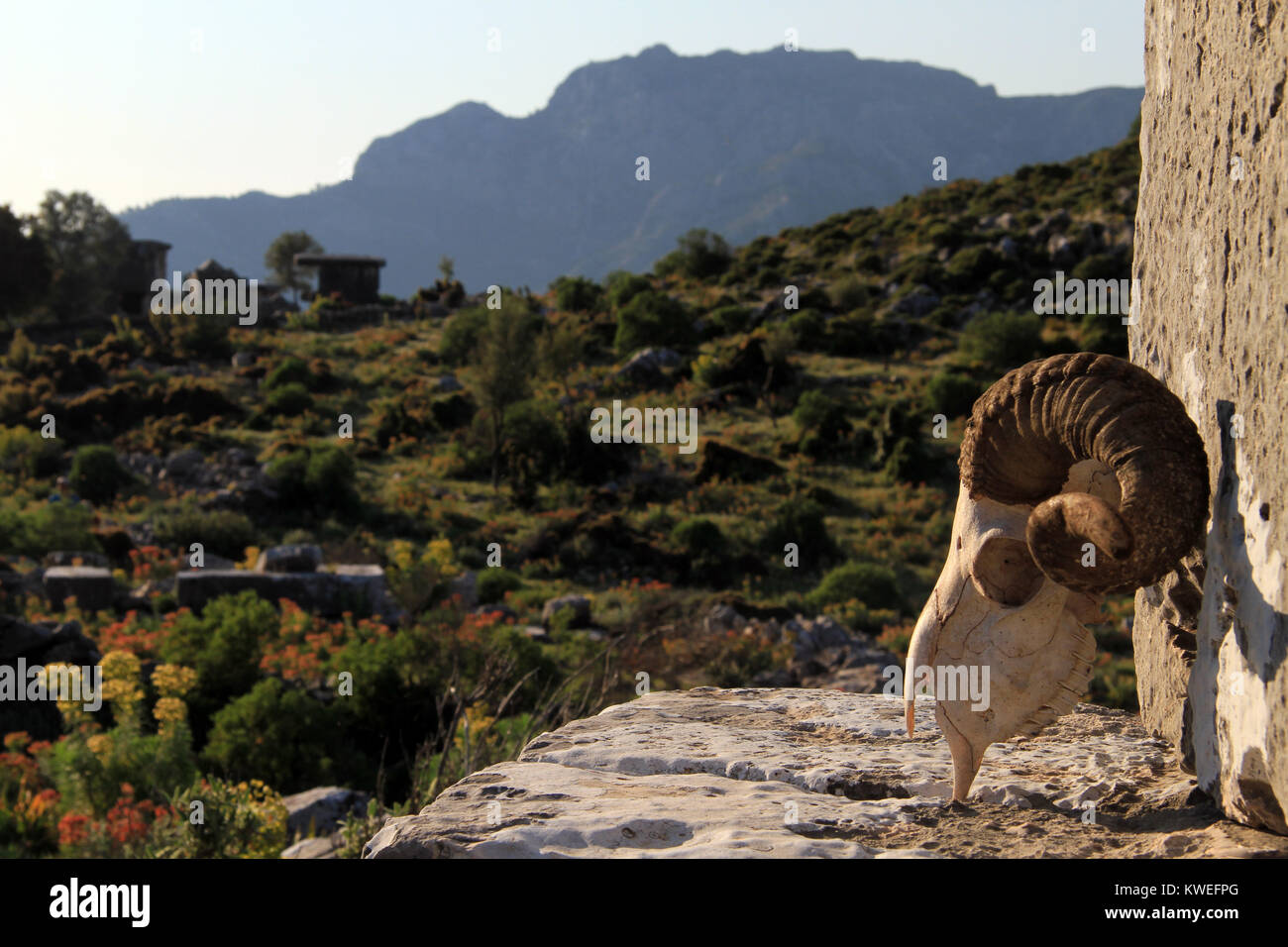 Crâne de Ram et les ruines de Sidyma, Turquie Banque D'Images