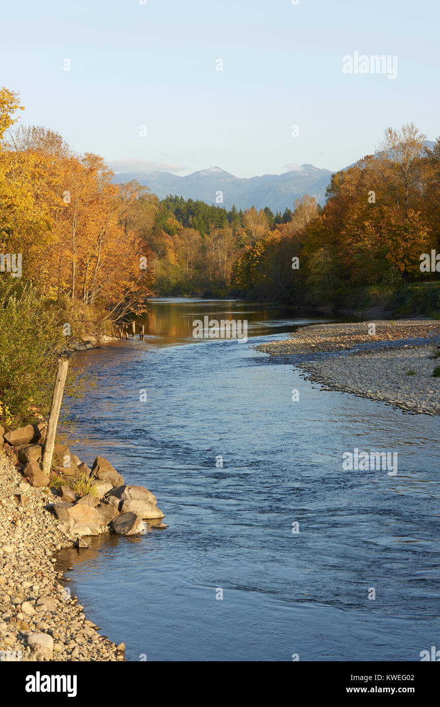 Un coude de la rivière snoqualmie près de la ville d'automne feuillage d'automne avec l'état de Washington Banque D'Images