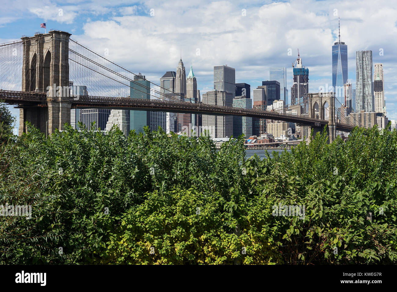 Lower Manhattan skyline et le pont de Brooklyn, un jour ensoleillé vu de Brooklyn Bridge Park à New York. Banque D'Images
