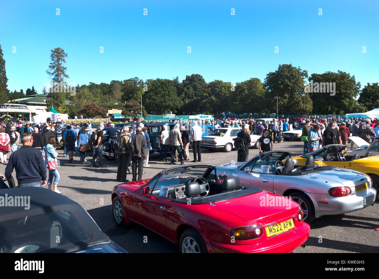 International Autojumble Beaulieu 2017 septembre, le Automart. Banque D'Images