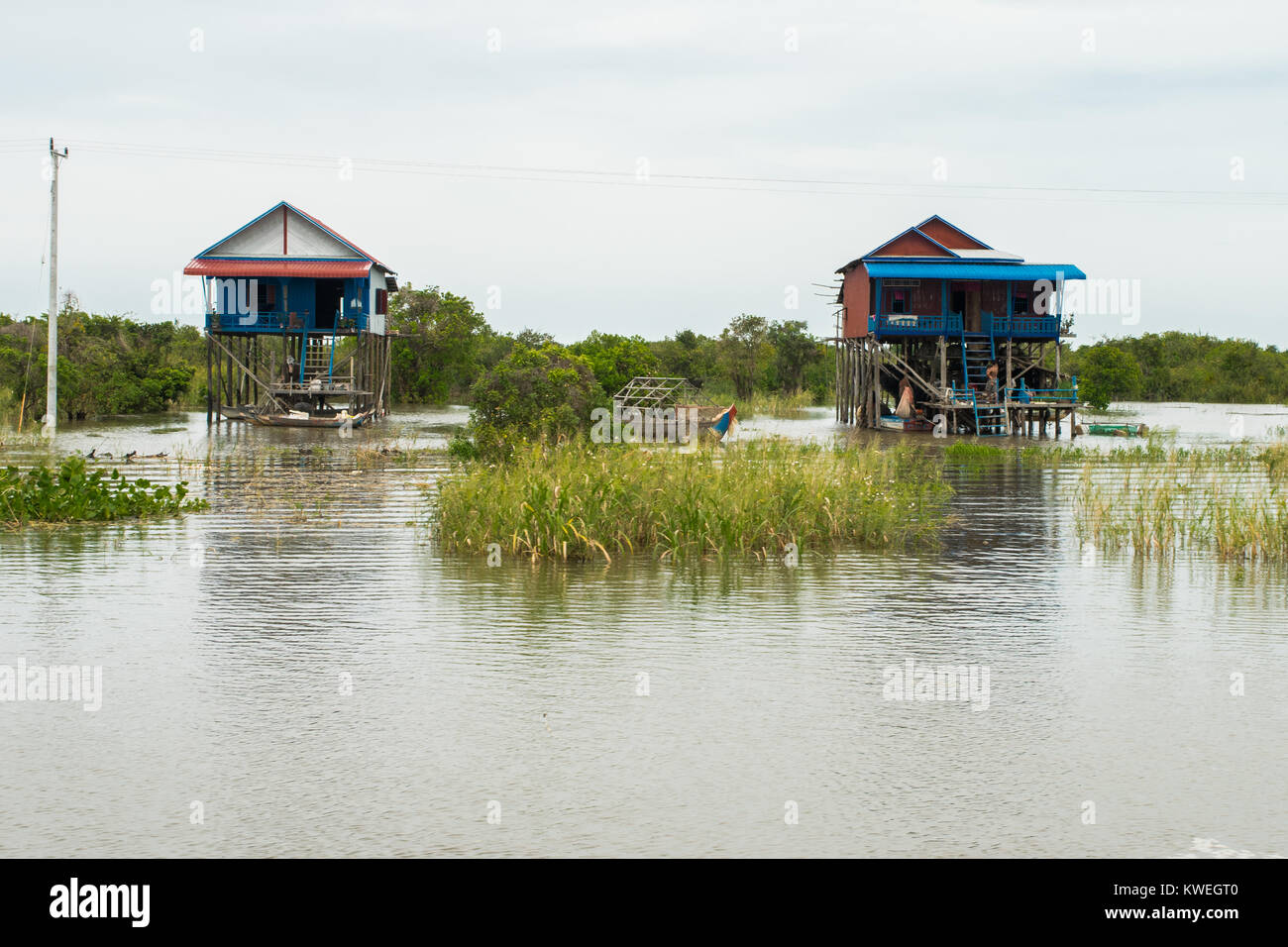 Deux maisons en bois et en métal bleu, construit sur pilotis, flottant sur la rivière Tonle Sap Lake durant la saison des pluies, la mousson Kampong Phluk village, Siem Reap Banque D'Images
