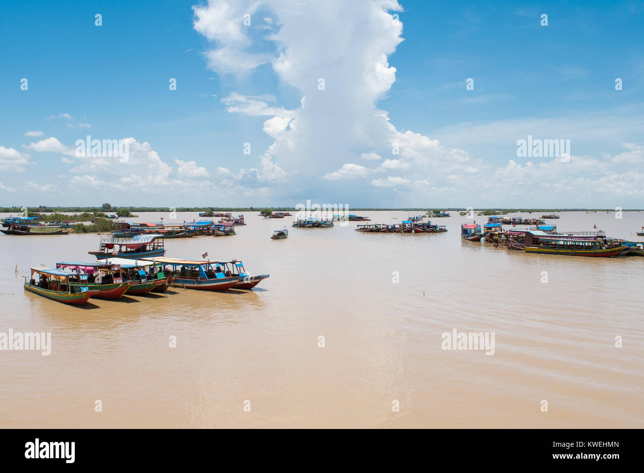 Longs bateaux attachés ensemble et mouillage près du lit du lac Tonle Sap, pour le transport touristique à Kampong Phluk village flottant, Siem Reap, Cambodge Banque D'Images