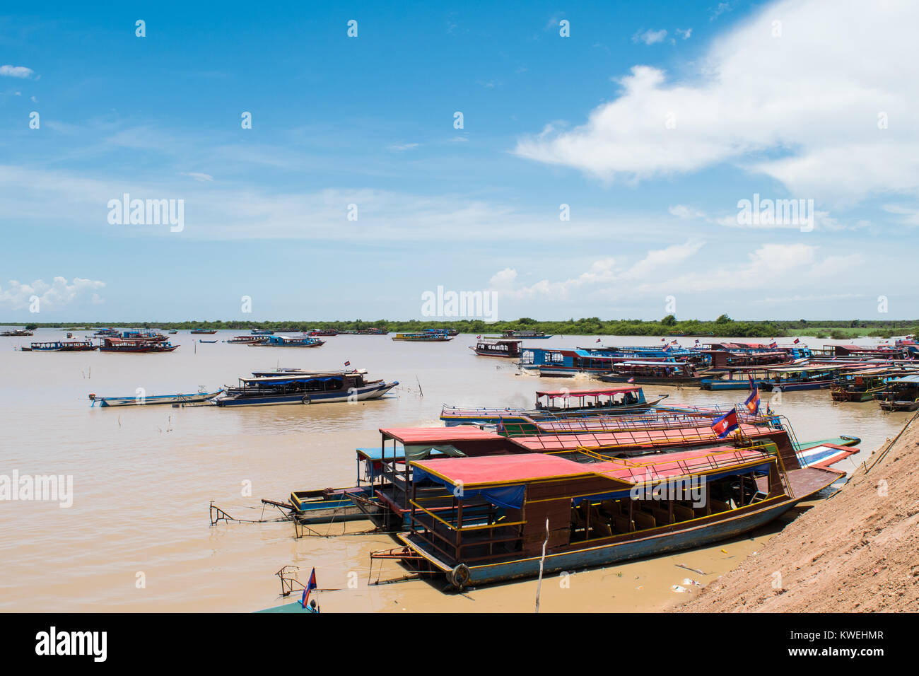 Longs bateaux attachés ensemble et mouillage près du lit du lac Tonle Sap, pour le transport touristique à Kampong Phluk village flottant, Siem Reap, Cambodge Banque D'Images
