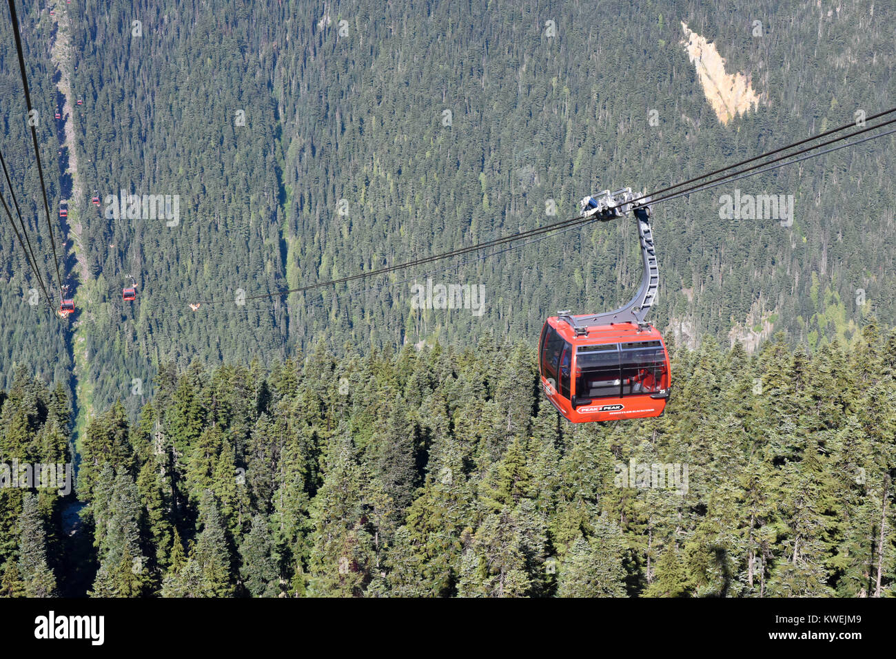 L'été sur les montagnes de Whistler Blackcomb en Colombie-Britannique & nuages brouillard enveloppent les sapins et pins / téléphériques gondole - station de ski olympique Banque D'Images