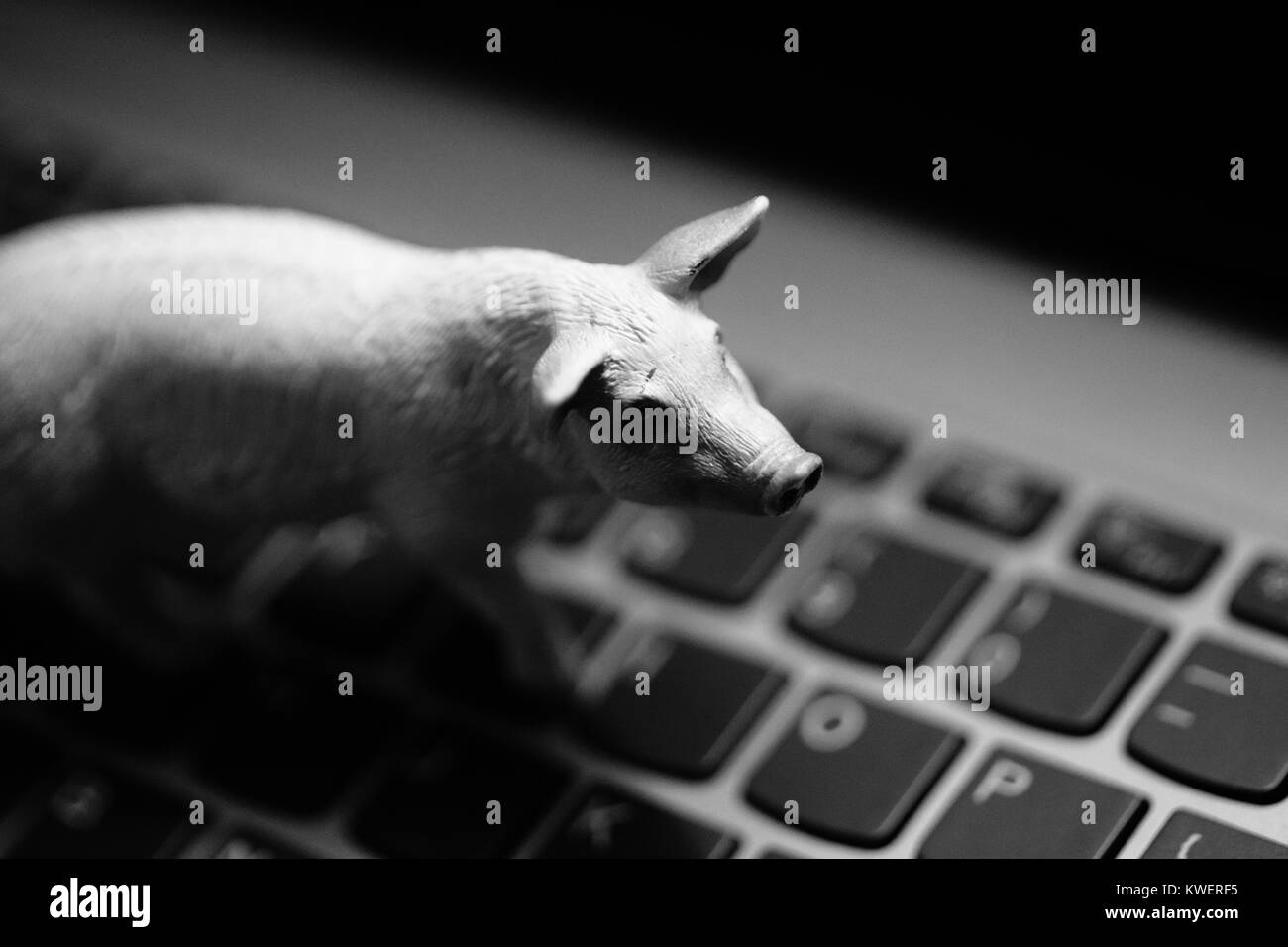 Toy pig on laptop keyboard - animaux domestiques et l'agriculture à l'ère numérique Banque D'Images