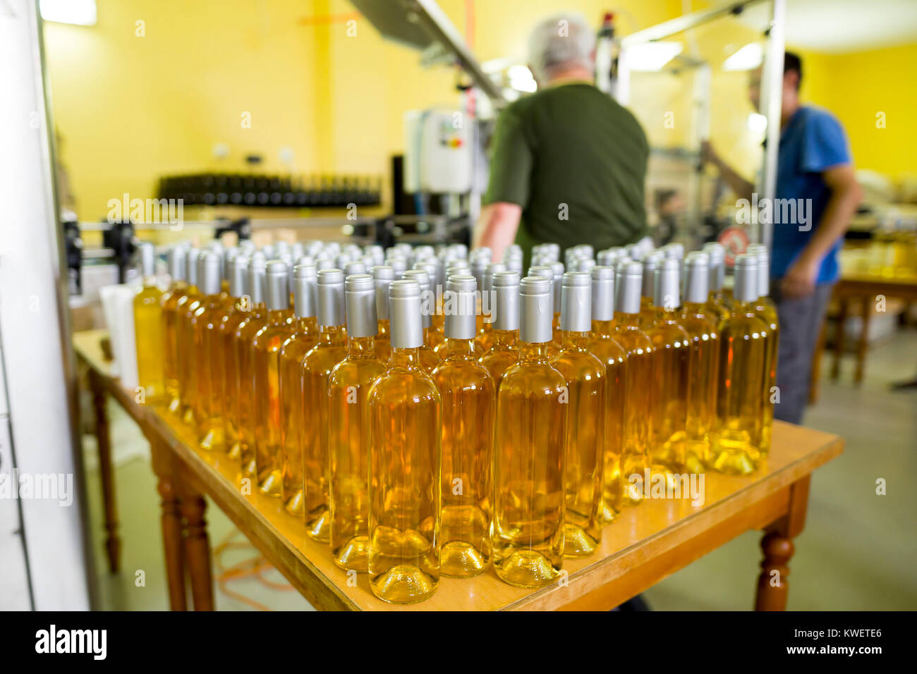 Des bouteilles de vin blanc dans une vinerie commandées pour l'étiquetage avant qu'emballé et expédié à la vente. Banque D'Images