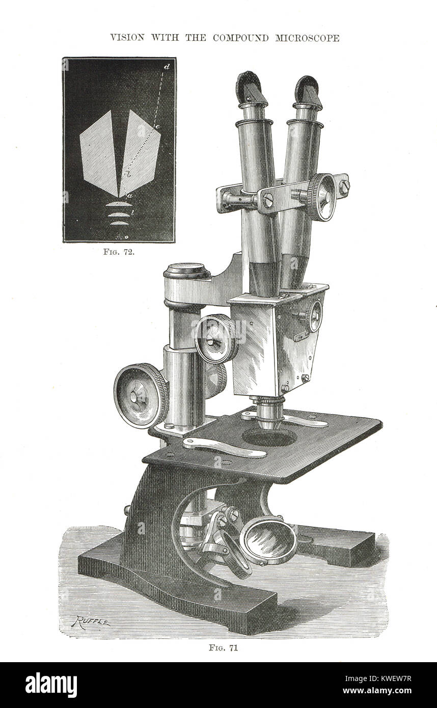 Le premier microscope binoculaire pratique avec affichage par John Leonard Riddell Banque D'Images