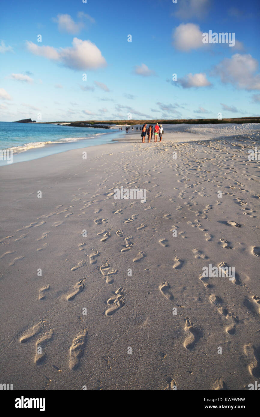 Plage Galapagos - Gardner Bay, île Espanola Island Hood ( ), une longue plage de sable fin, des îles Galapagos, Equateur Amérique du Sud Banque D'Images