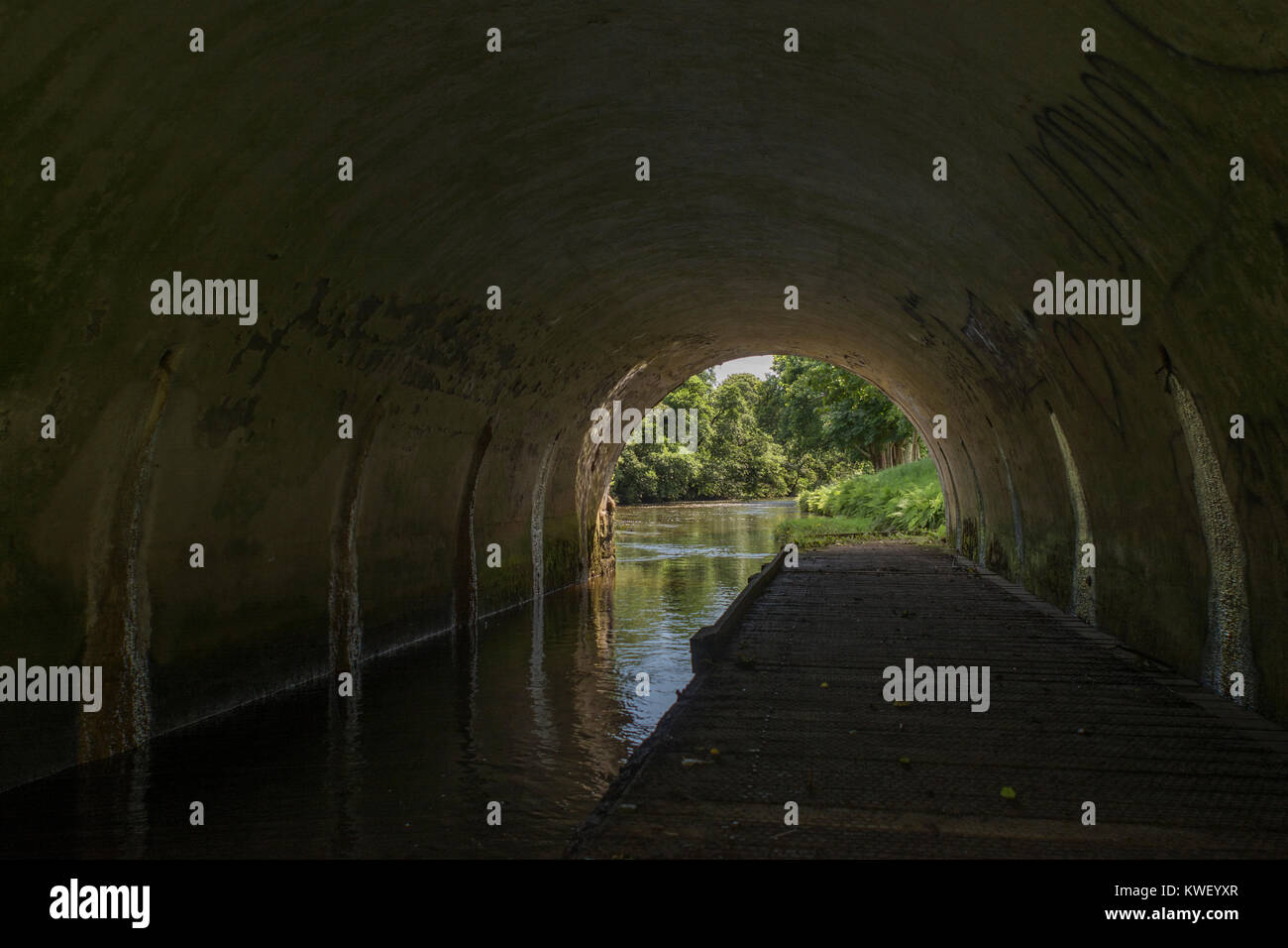 Allée sombre sous un pont - métaphore de la "lumière au bout du tunnel' ou même 'tunnel vision' - avec copie espace. Banque D'Images