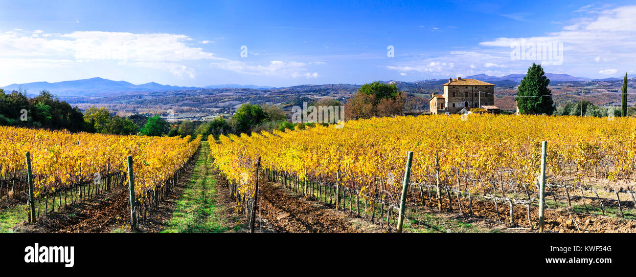 Paysage d'automne impressionnant,avec vue sur les vignobles colorés,Toscane,Italie. Banque D'Images