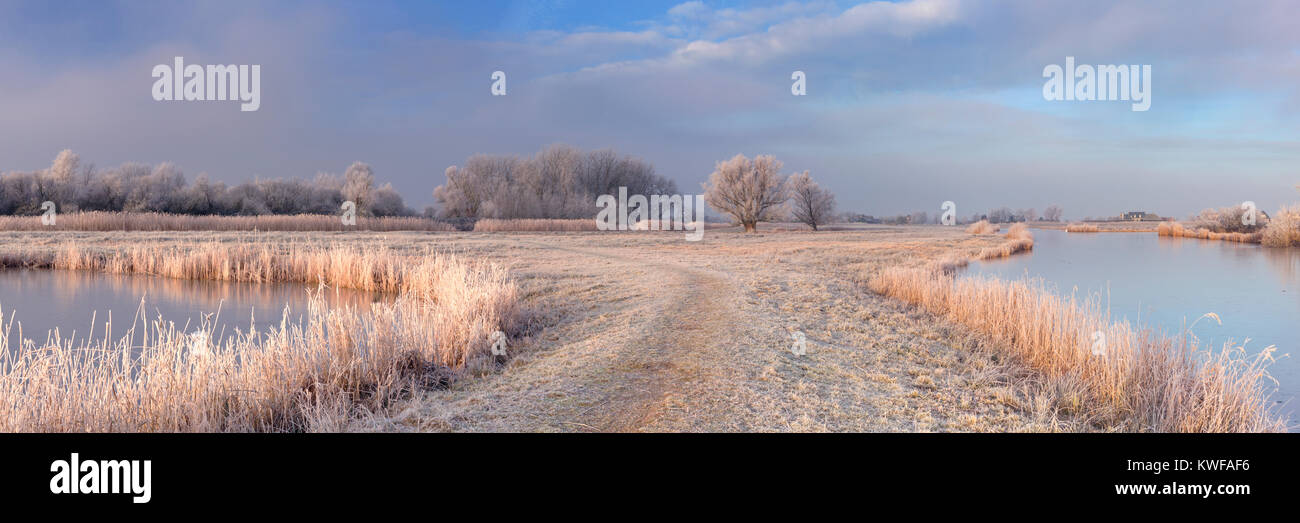 Un paysage gelé juste au nord d'Amsterdam aux Pays-Bas photographié à la lumière du soleil tôt le matin. Banque D'Images