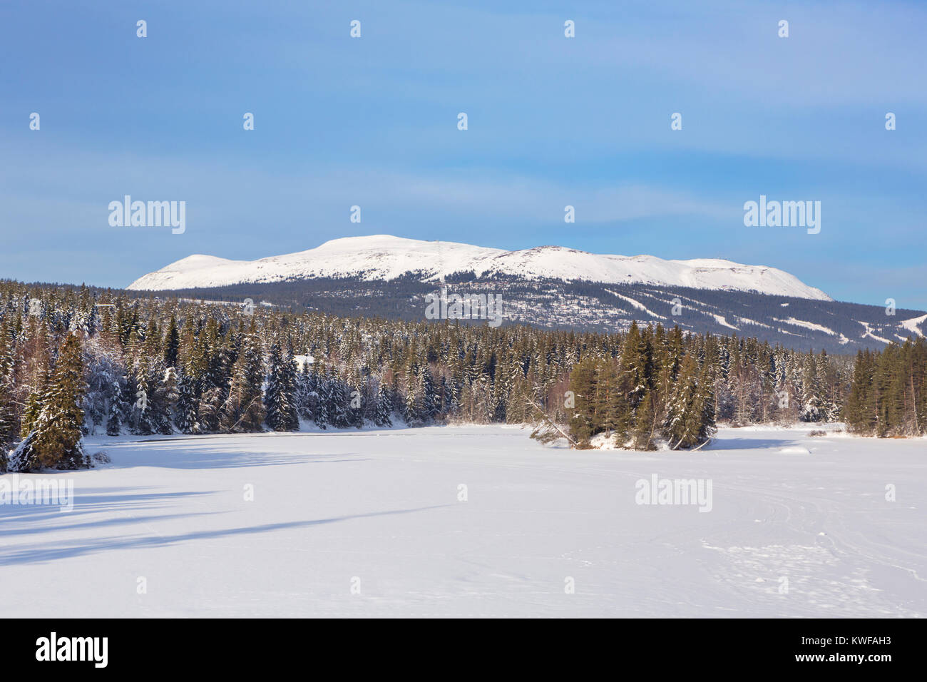La montagne de Trysilfjellet, Trysil en Norvège, lors d'une journée ensoleillée en hiver. Banque D'Images