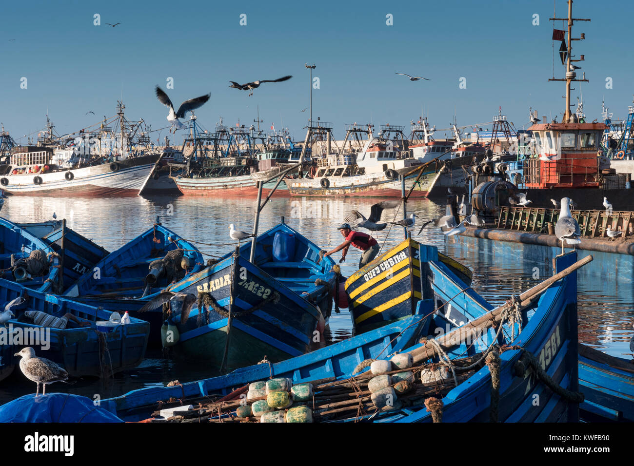 L'industrie de la pêche en action Commericial autour du port. Banque D'Images