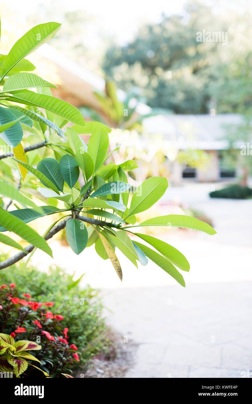 Scène de jardin avec point central étant sur certains espaces verts Banque D'Images