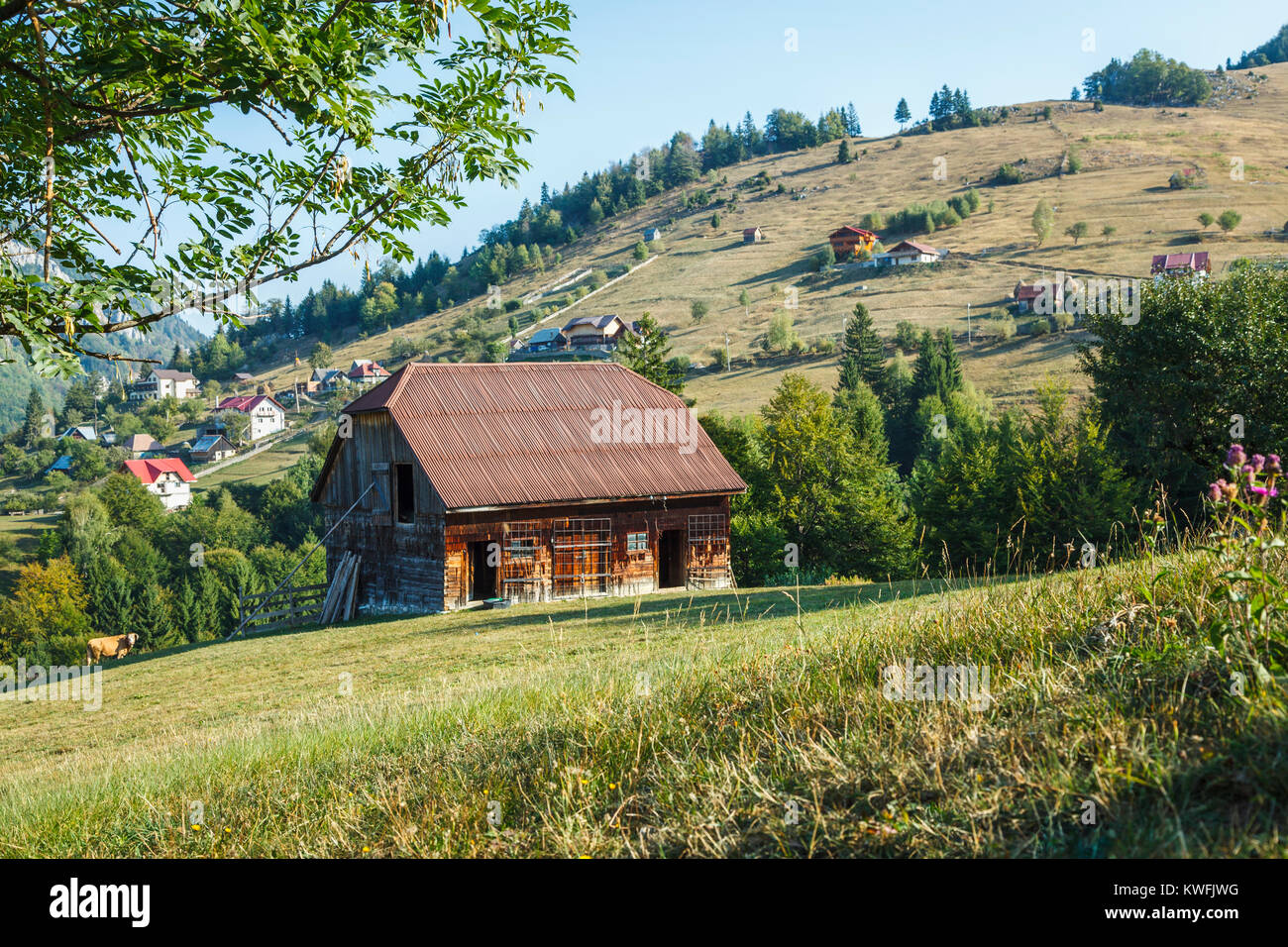 Grange typique et maisons à flanc de collines, des montagnes des Carpates dans le parc national de Piatra Craiului, Transylvanie, Roumanie, Europe de l'Est Banque D'Images