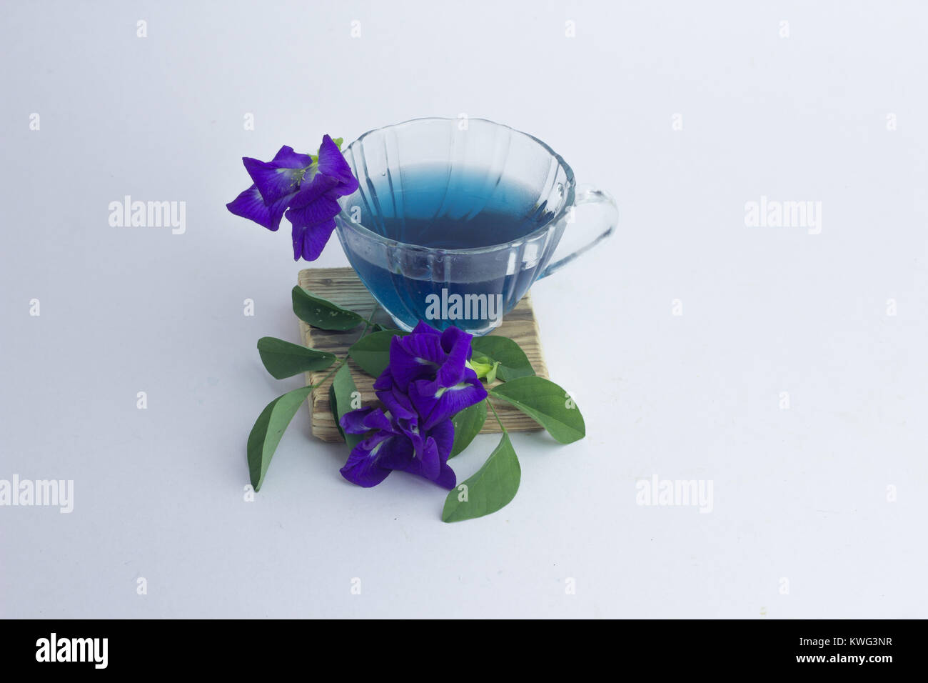 Jus de pois papillon et fleurs sur fond blanc. Papillon fleur jus de pois dans un verre d'eau sans glace. Banque D'Images