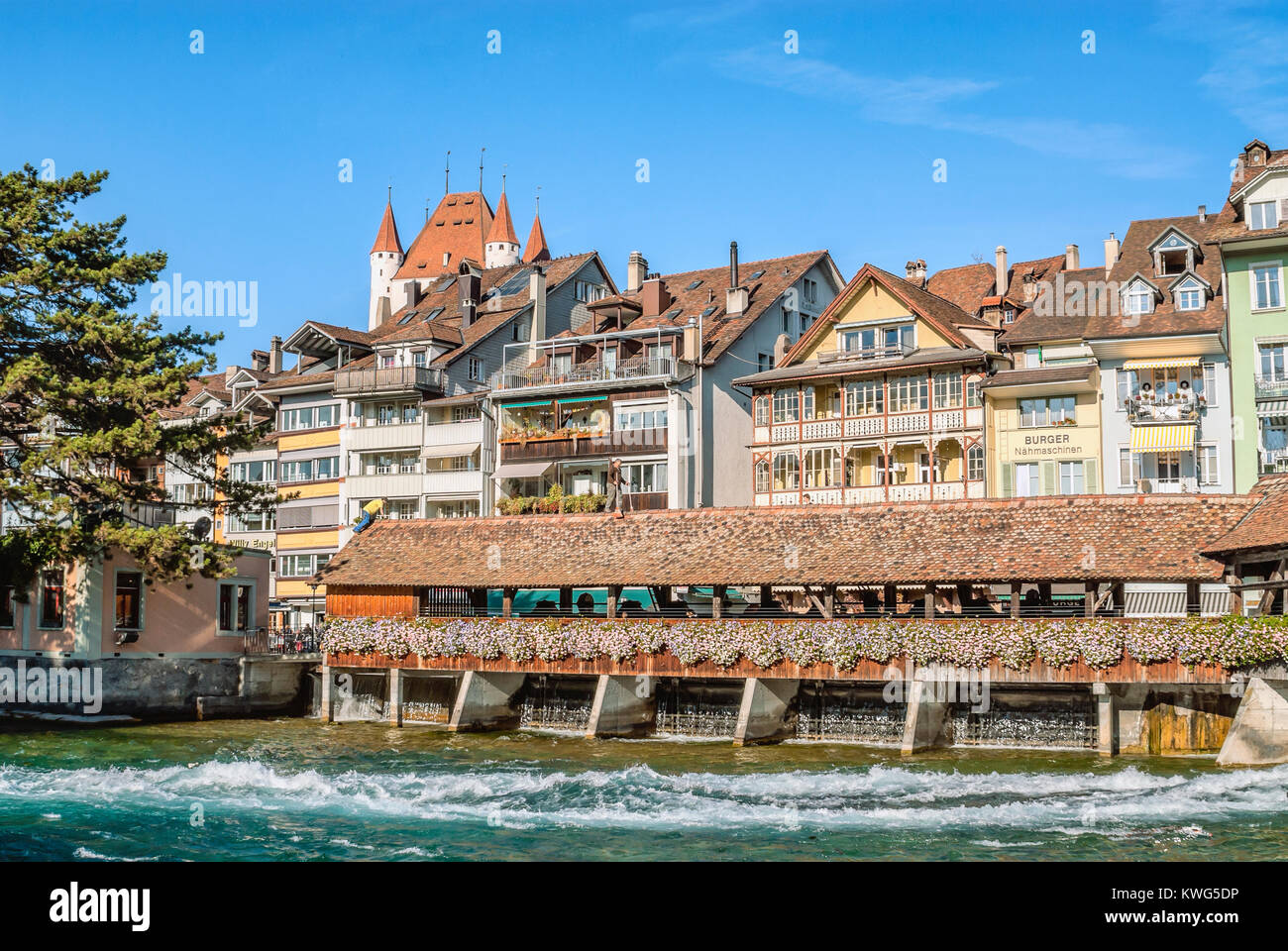 Rive inférieure de la rivière Aare dans la vieille ville de Thun, canton, Berne, Suisse Banque D'Images