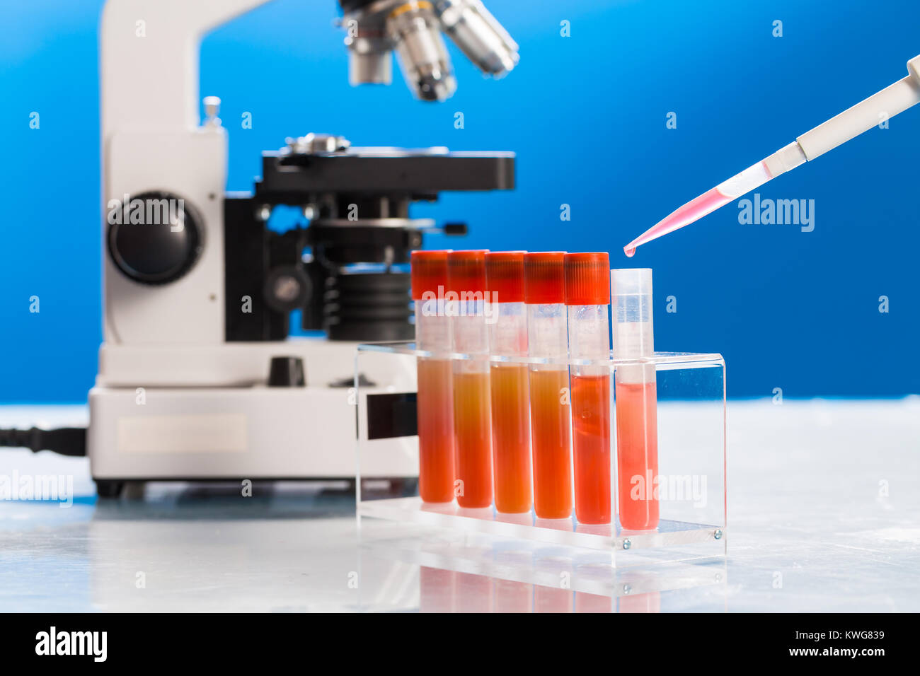 L'identification des microbes pathogènes et virus Banque D'Images