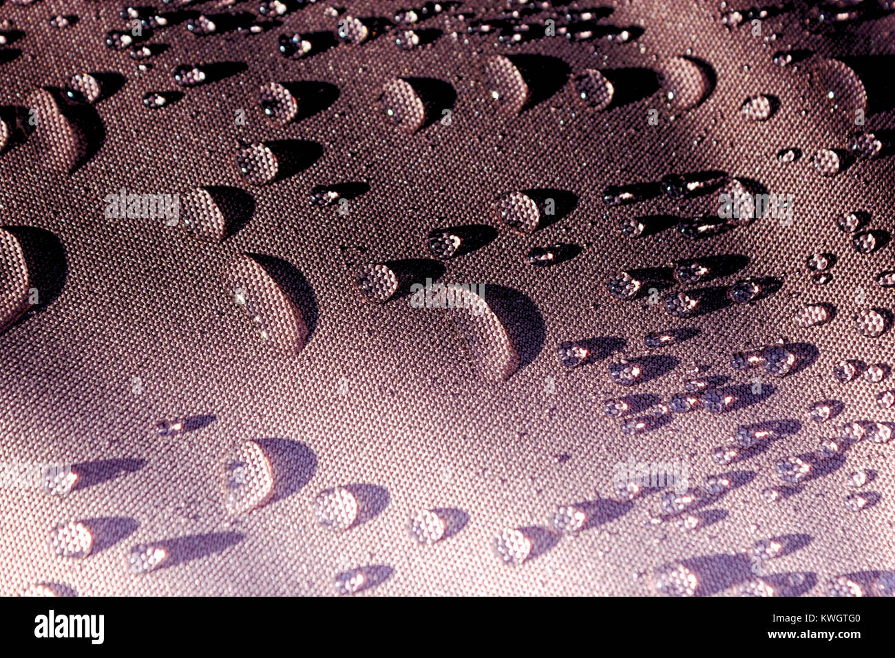 Tôt le matin de rosée de matériel. Banque D'Images