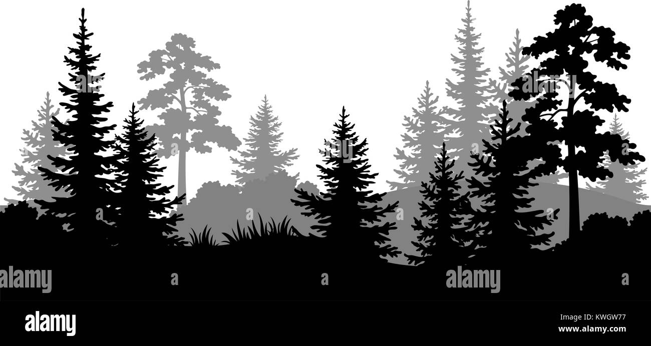 Arrière-plan transparent, silhouettes de forêt en été Illustration de Vecteur