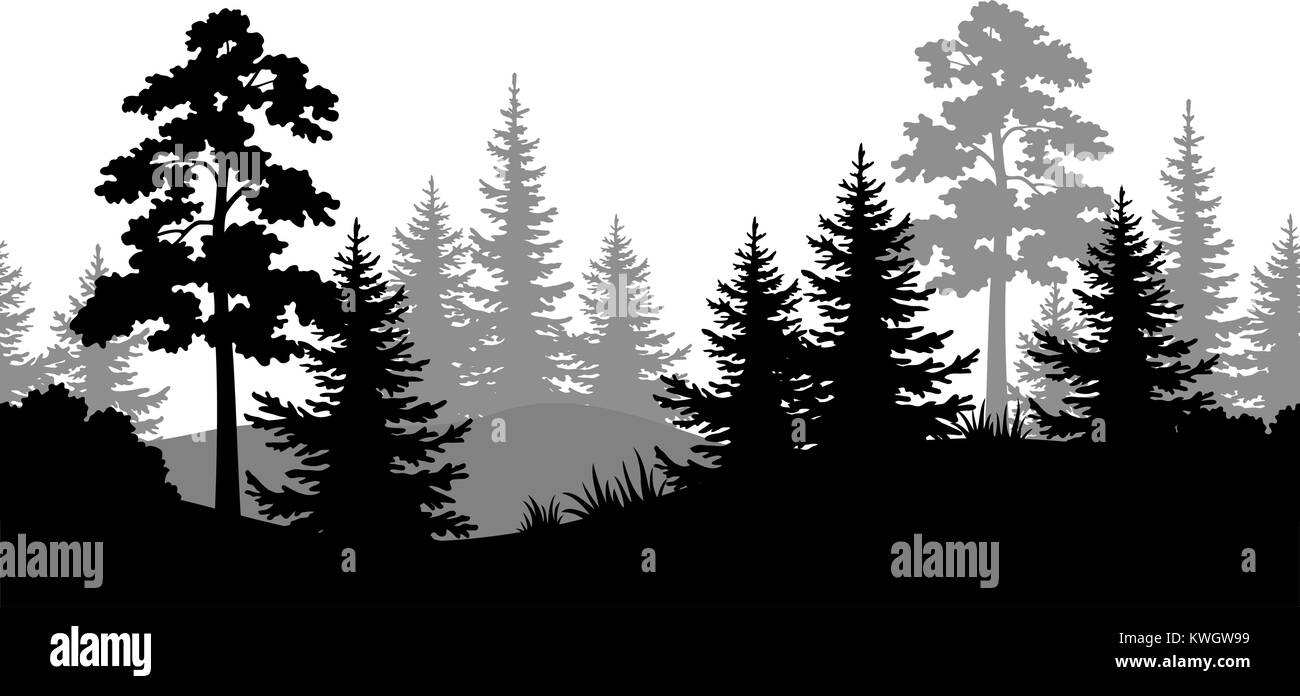 Arrière-plan transparent, silhouettes de forêt en été Illustration de Vecteur