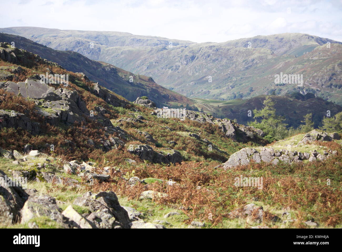 Lake District, Cumbria, vue d'Elksdale, Royaume-Uni Banque D'Images