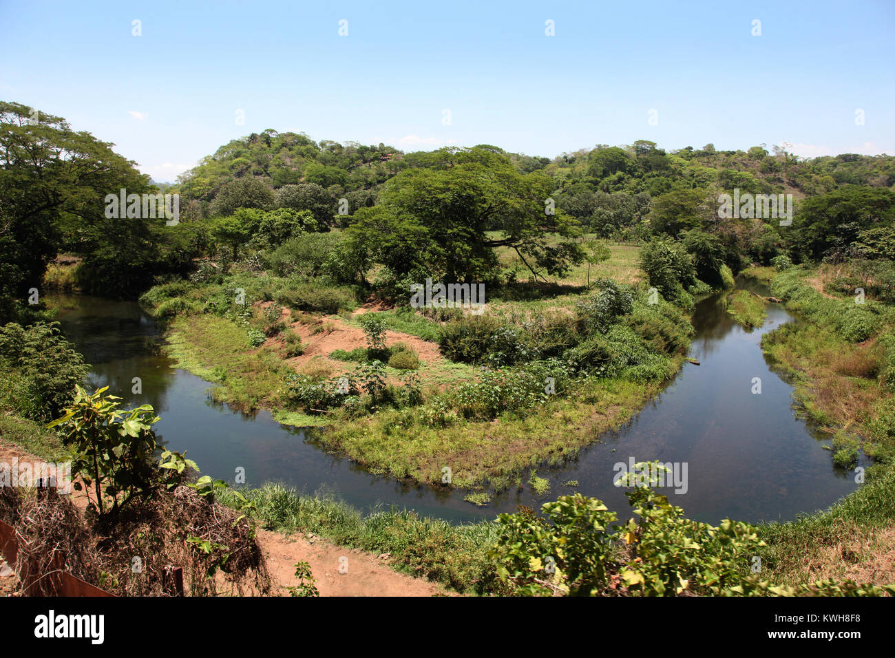 Beau paysage de la jungle du Canal de Tortuguero, Puerto Limon, Costa Rica. Banque D'Images