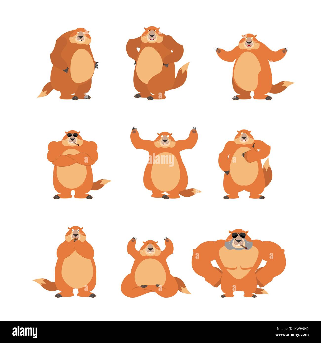 Jeu de la marmotte poses et motion. Heureux de la marmotte et le yoga. Couchage Marmot et en colère. coupable et triste. Le jour de la marmotte Vector illustration Illustration de Vecteur