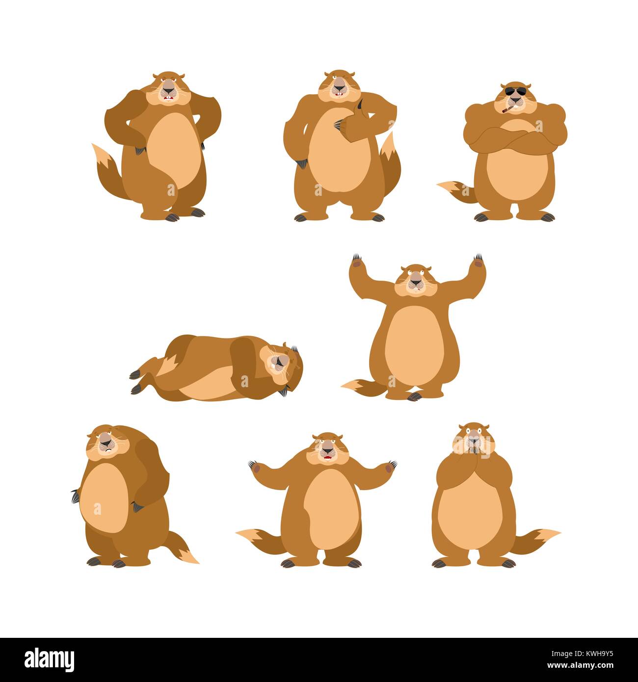 Jeu de la marmotte poses et motion. Heureux de la marmotte et le yoga. Couchage Marmot et en colère. coupable et triste. Le jour de la marmotte Vector illustration Illustration de Vecteur