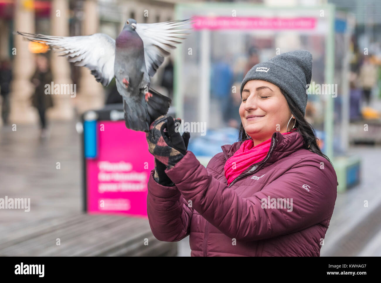 Pigeon de l'atterrissage sur une main de femme dans une ville en Angleterre, Royaume-Uni. Banque D'Images